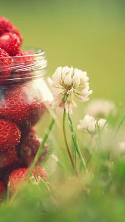 strawberries, greens, flowers, bokeh, dandelions,  (vertical)