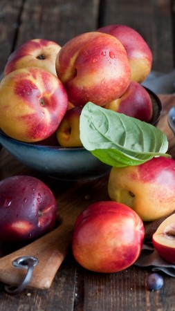 nectarines, blueberries, leaves,  (vertical)