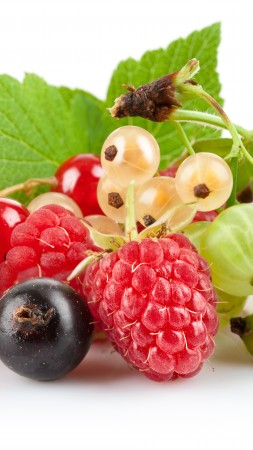 berries, gooseberries, currants, raspberries, blueberries (vertical)