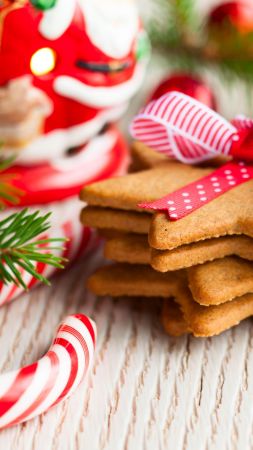 Christmas cookies, New year, decirations, branch (vertical)