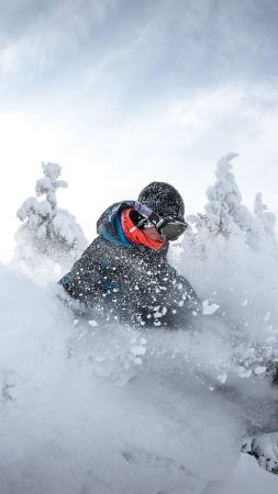 snow, snowboard, winter (vertical)