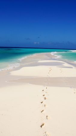 Cayo de Agua, Los Roques National Park, Venezuela, Best beaches of 2016, Travellers Choice Awards 2016 (vertical)