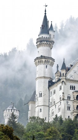 Neuschwanstein castle, Germany, forest, trees, smoke (vertical)