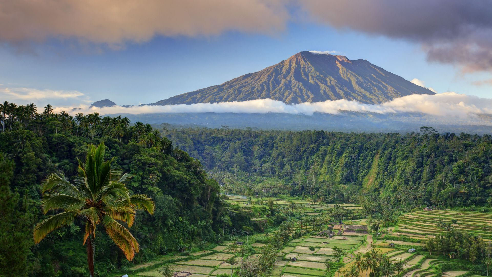 Bali, palms, trees, field, mountain, clouds, 5k (horizontal)