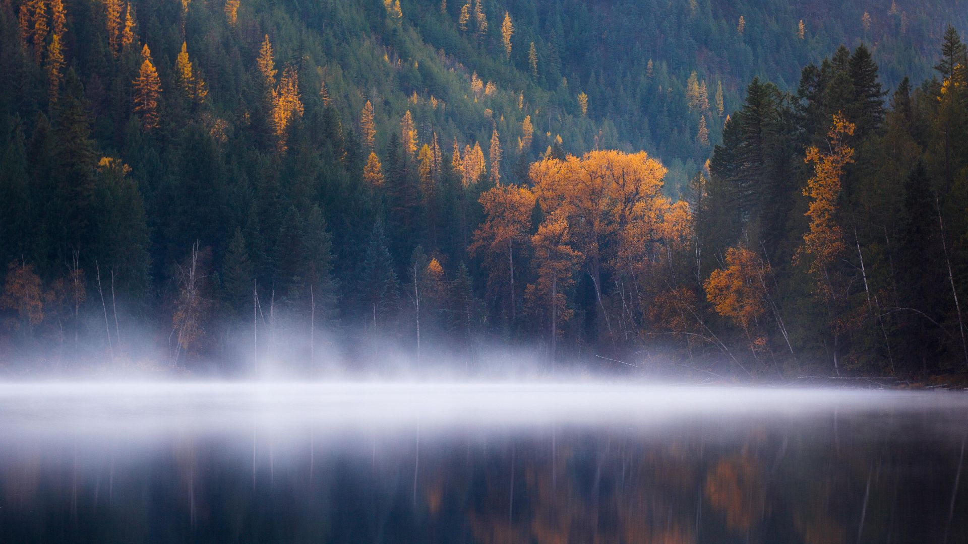 Echo Lake, forest, trees, fog, Columbia, autumn, 5k (horizontal)