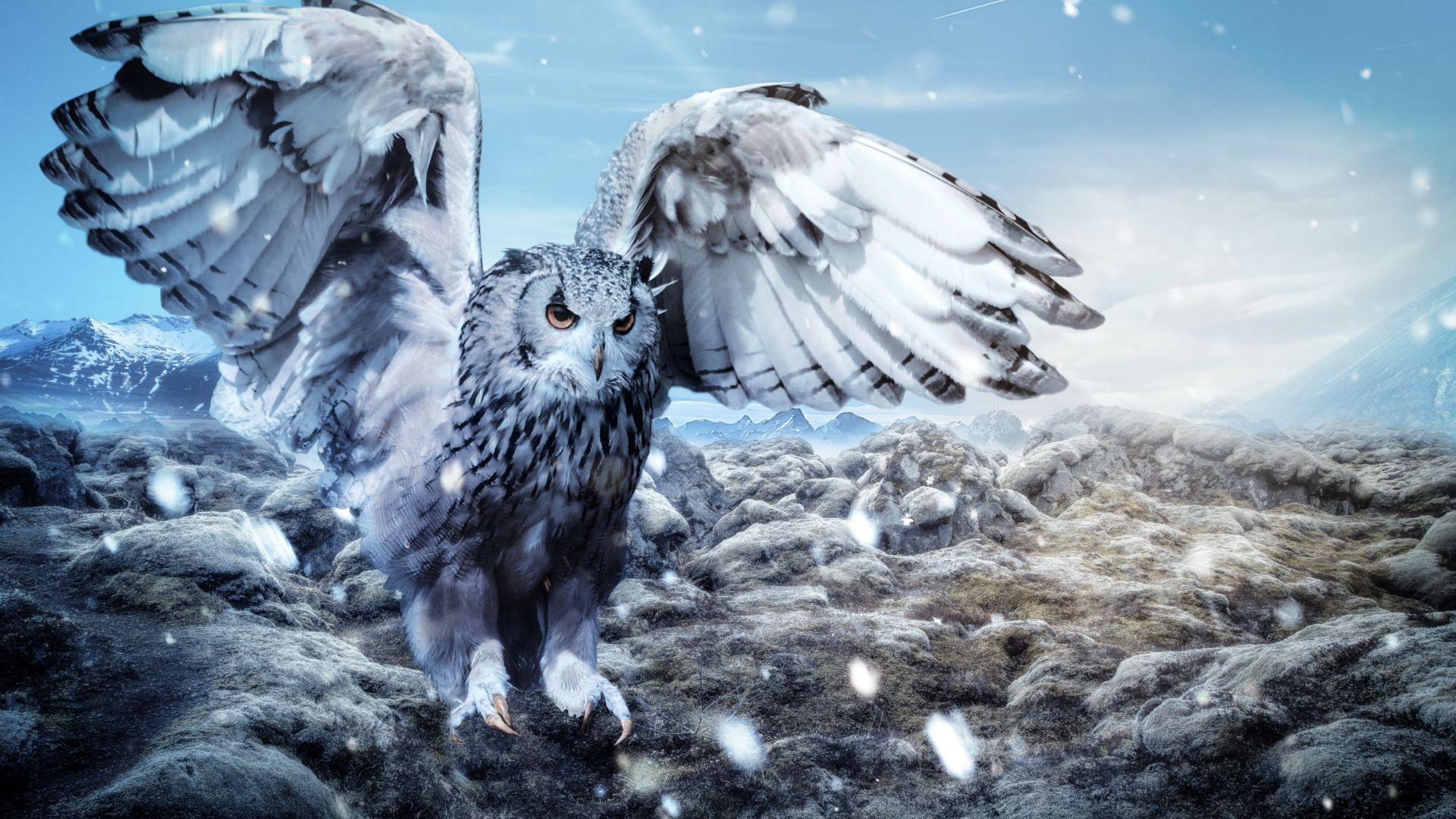 owl, mountains, snow, winter, 5k (horizontal)