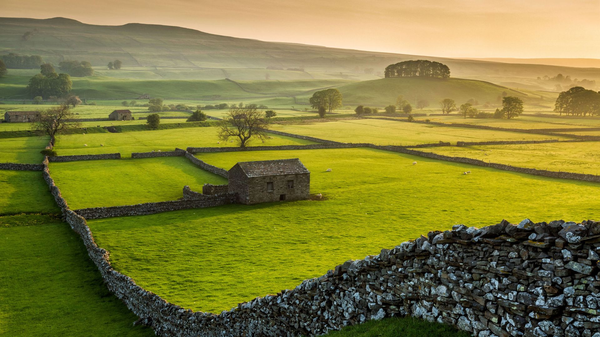 Wensleydale, Yorkshire Dales National Park, North Yorkshire, green, grass, summer, 5K (horizontal)