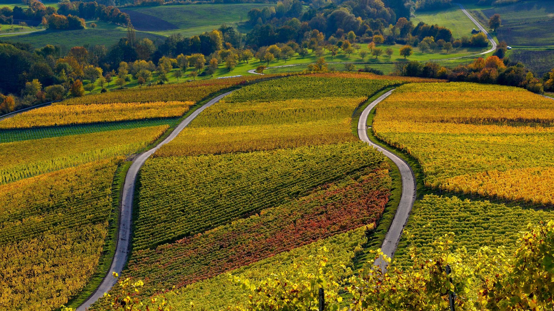 autumn, hill, Europe, Oberschwarzach, Unterfranken, Bayern, 4K (horizontal)