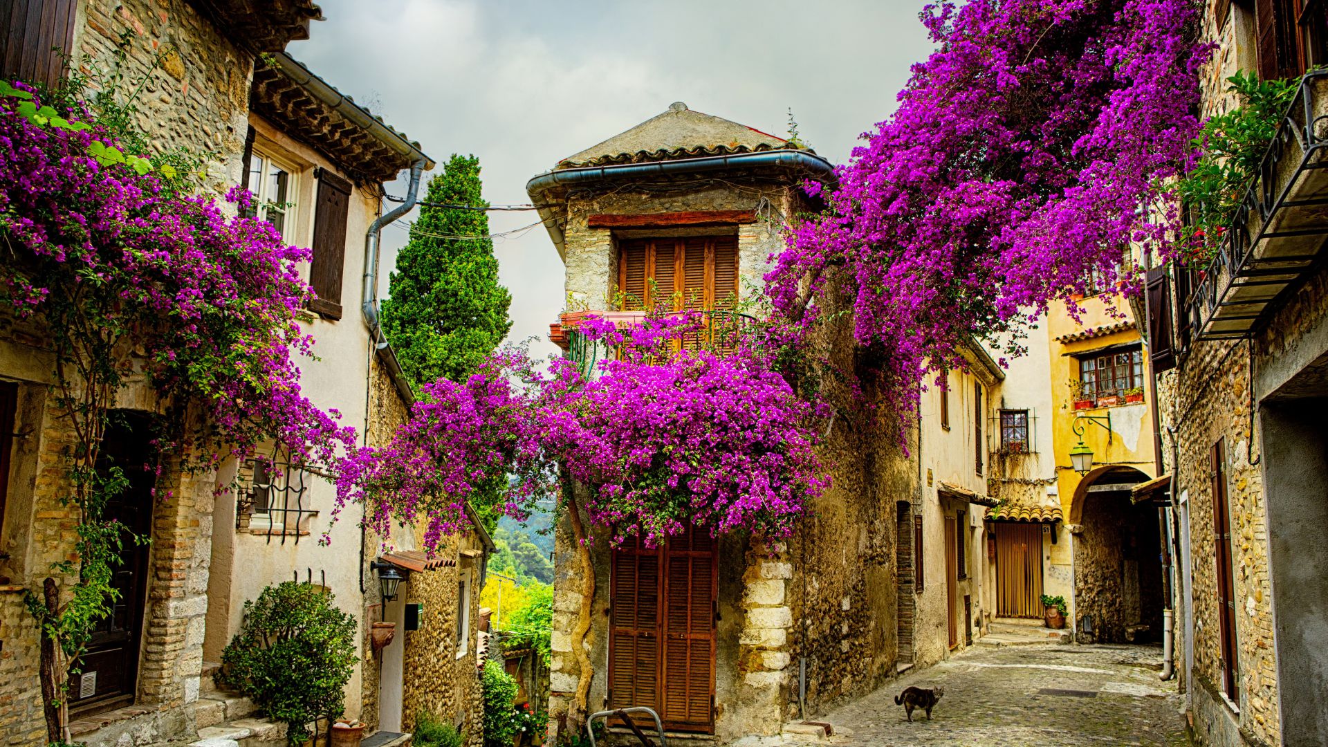 Provence, France, Tourism, Travel (horizontal)