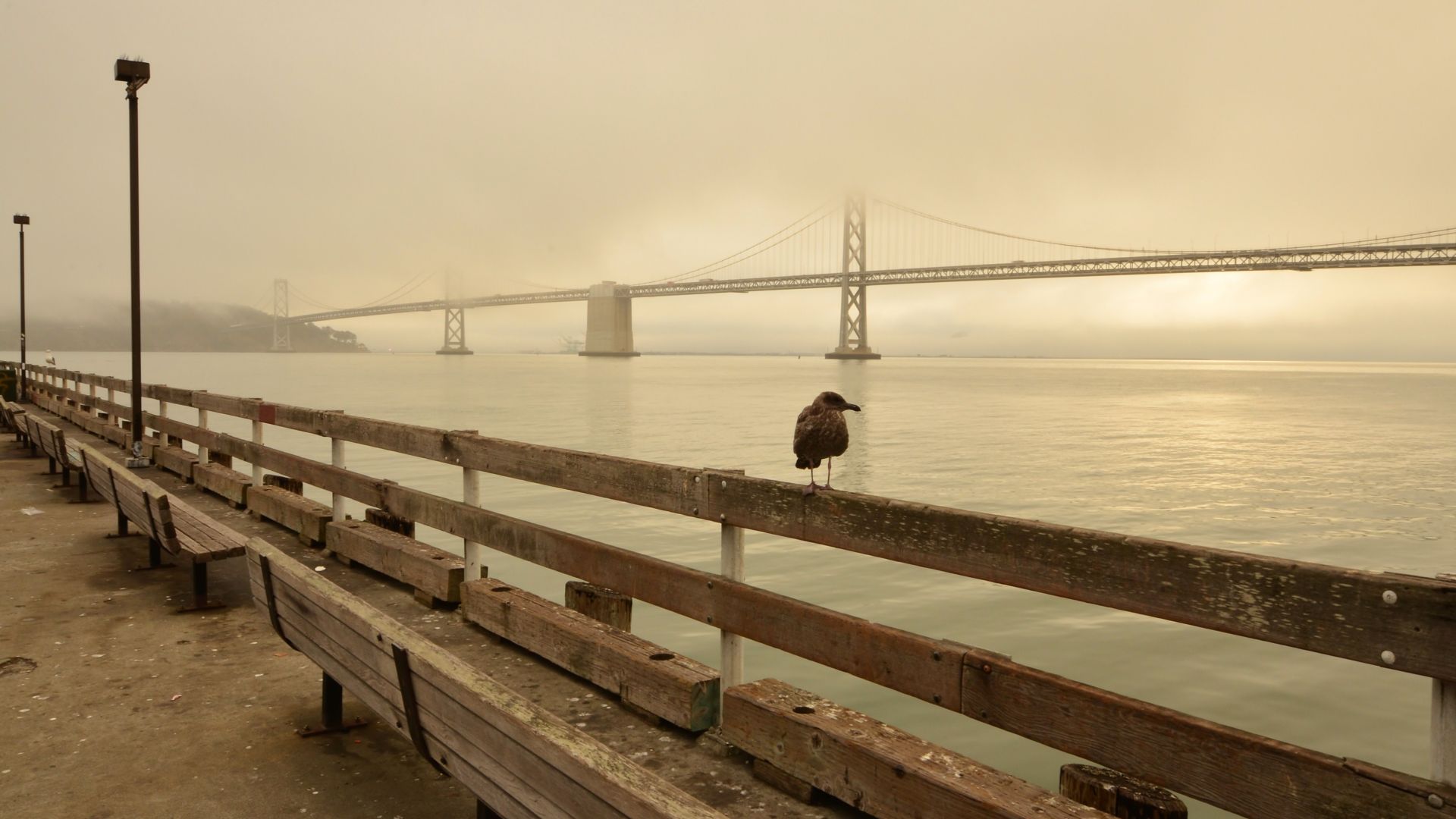 Bay Beach, San Francisco, California USA, Best Beaches in the World, travel, tourism (horizontal)