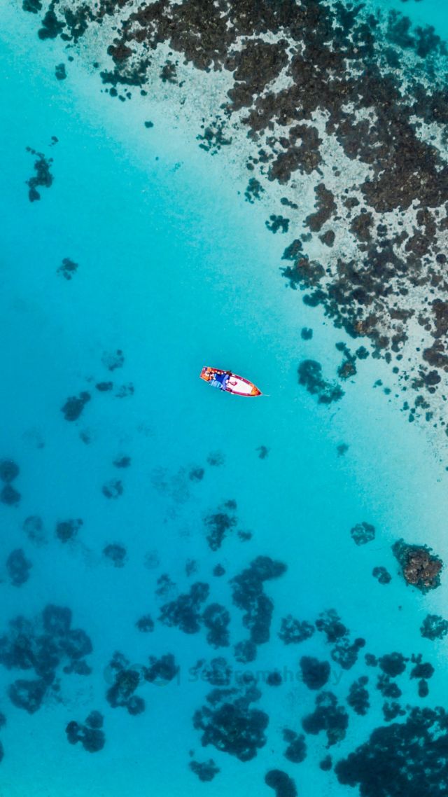 beach, 5k, 4k wallpaper, sea (vertical)