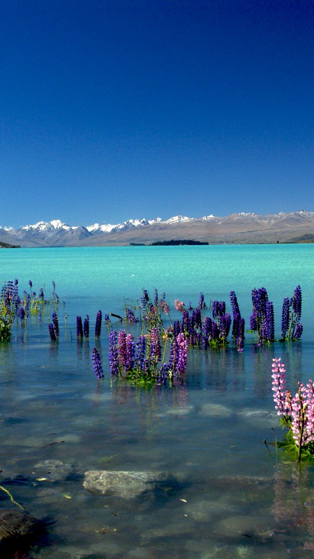 Lake Tekapo, New Zealand, mountains, 4k (vertical)