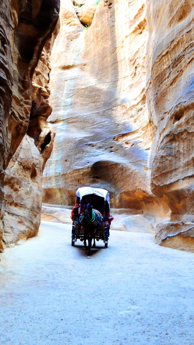 Jordan, Petra, rocks, horse, 4k (vertical)