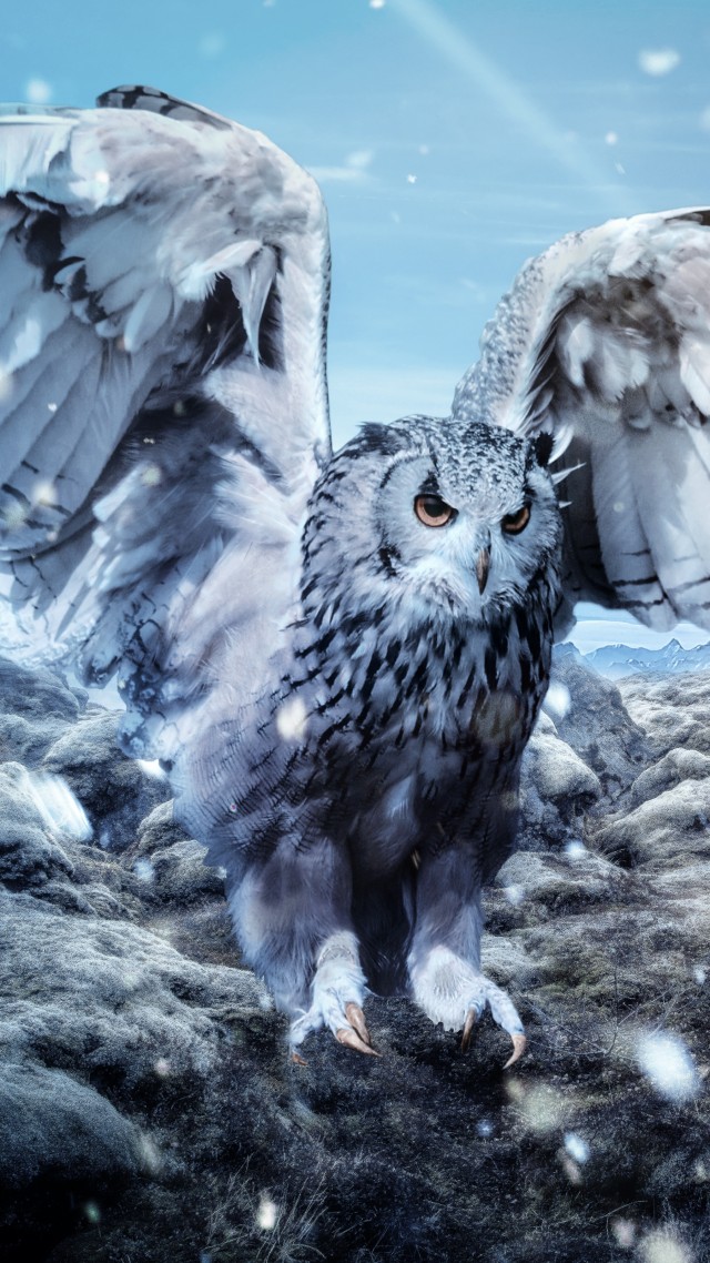 owl, mountains, snow, winter, 5k (vertical)