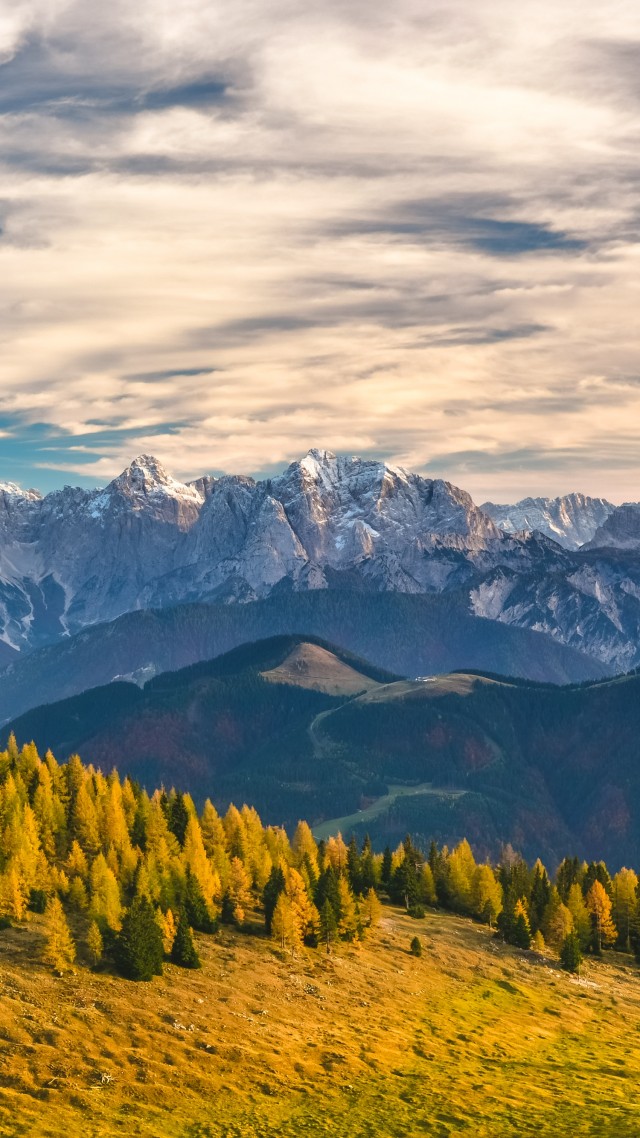 Alps, Switzerland, mountains, trees, 4k (vertical)