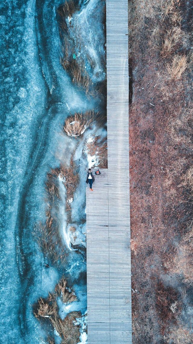 boardwalk, water, blue, brown, grass, 4K (vertical)