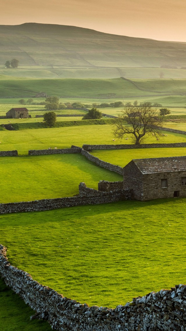 Wensleydale, Yorkshire Dales National Park, North Yorkshire, green, grass, summer, 5K (vertical)