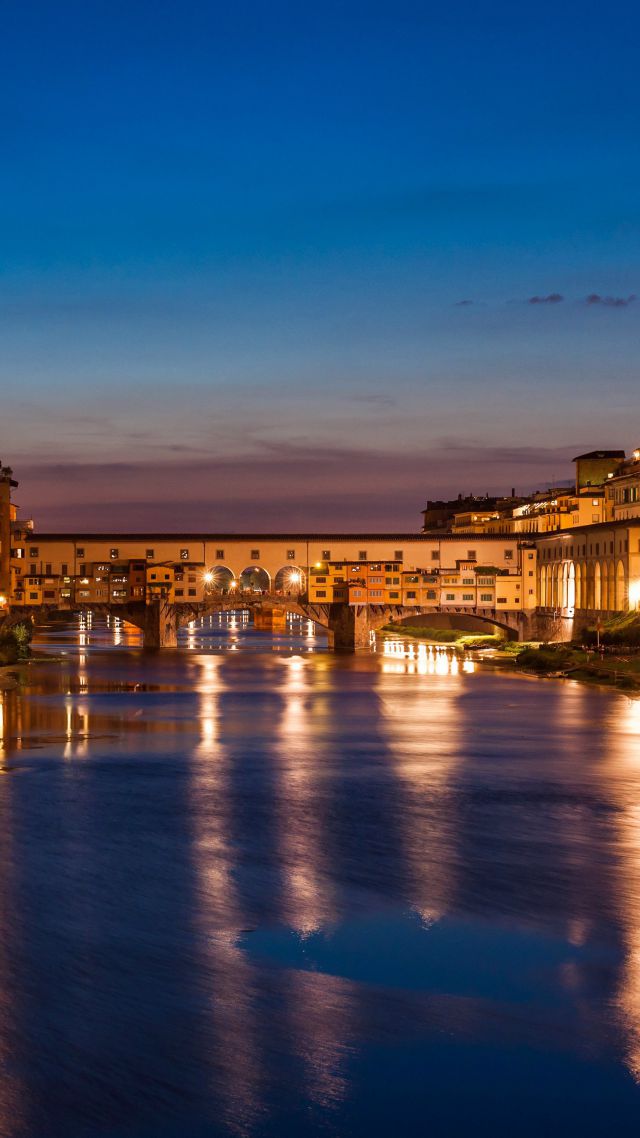 Florence, Italy, Night, Tourism, Travel (vertical)