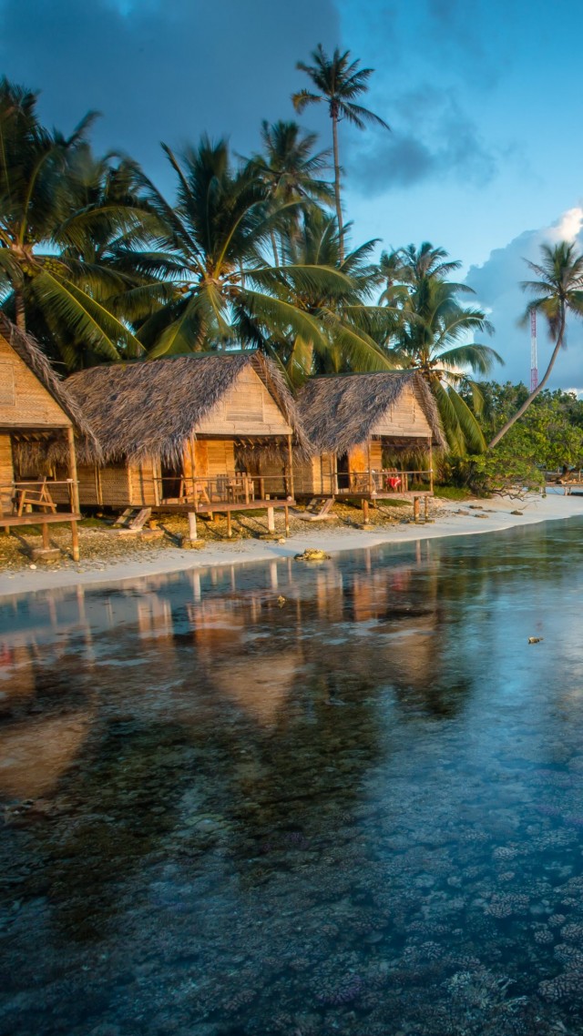 Bungalows, 4k, HD wallpaper, Reef, French Polynesia, water, clouds, palms, World's best diving sites (vertical)