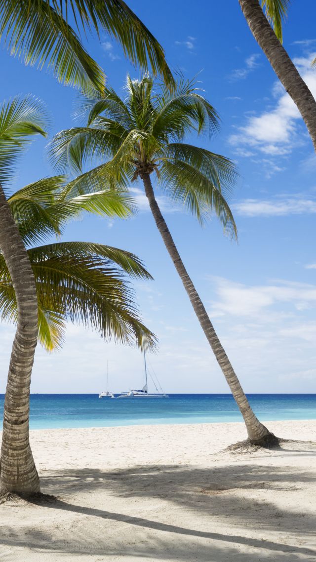 Jamaika, 5k, 4k wallpaper, The Caribbean, beach, palms, sky, travel, tourism (vertical)