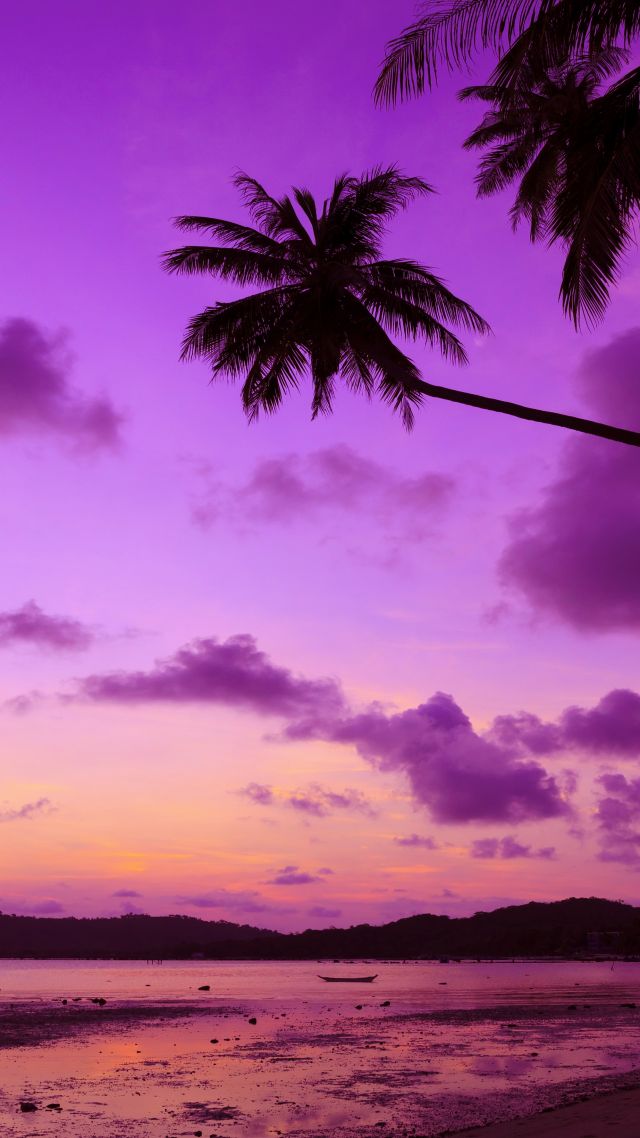 Thailand, 4k, 5k wallpaper, beach, palms, shore, sunset, travel, tourism (vertical)