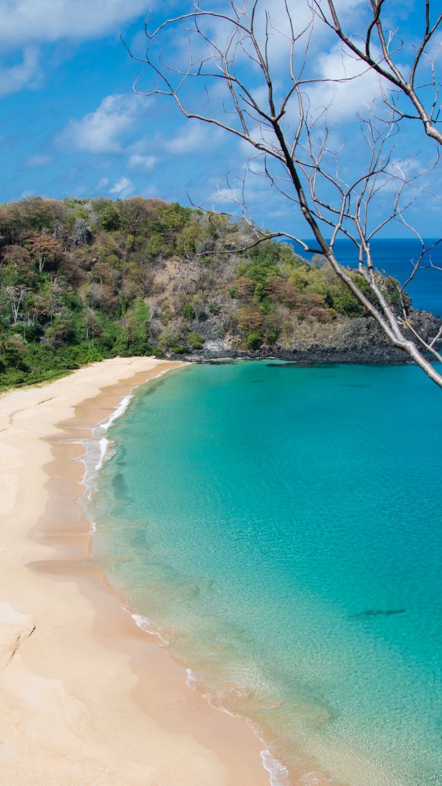 Baia do Sancho, Fernando de Noronha, Brazil, Best beaches of 2016, Travellers Choice Awards 2016 (vertical)